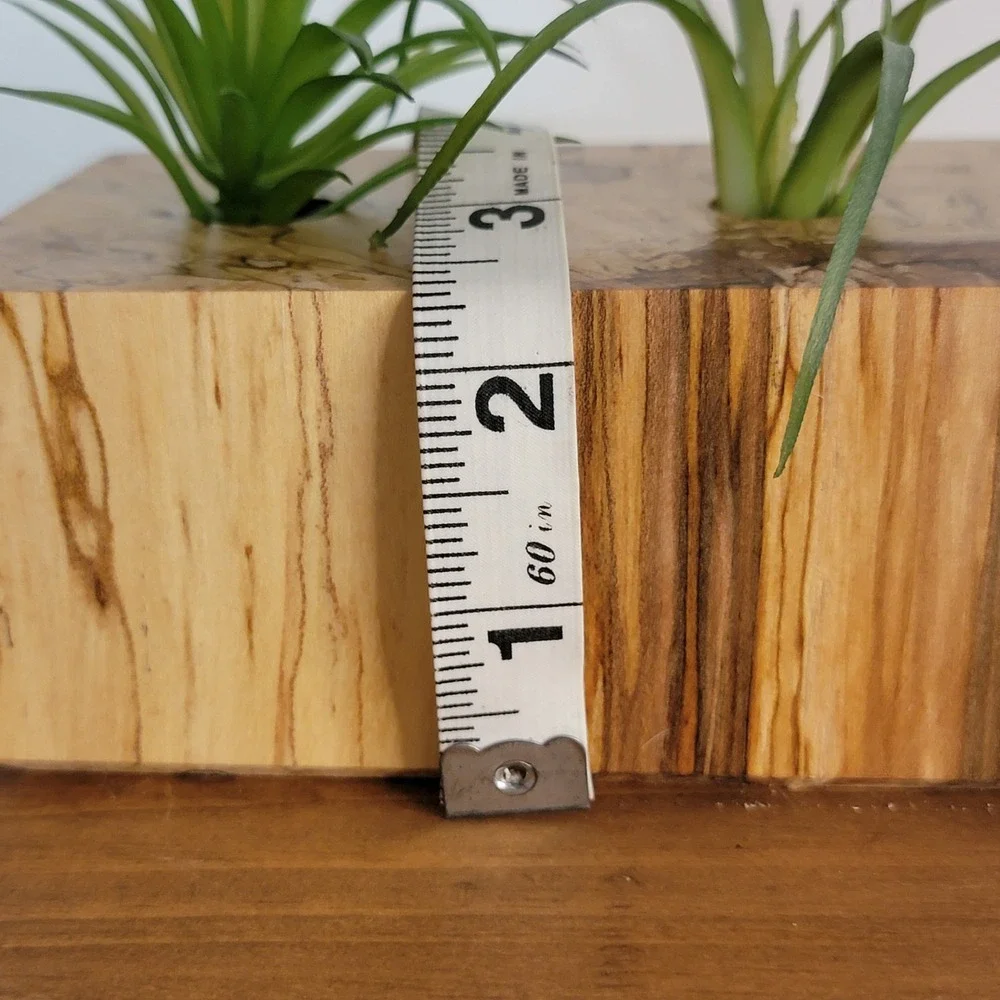 Handmade Spalted Maple Wood double Air Plant succulents Holder shelf sitter